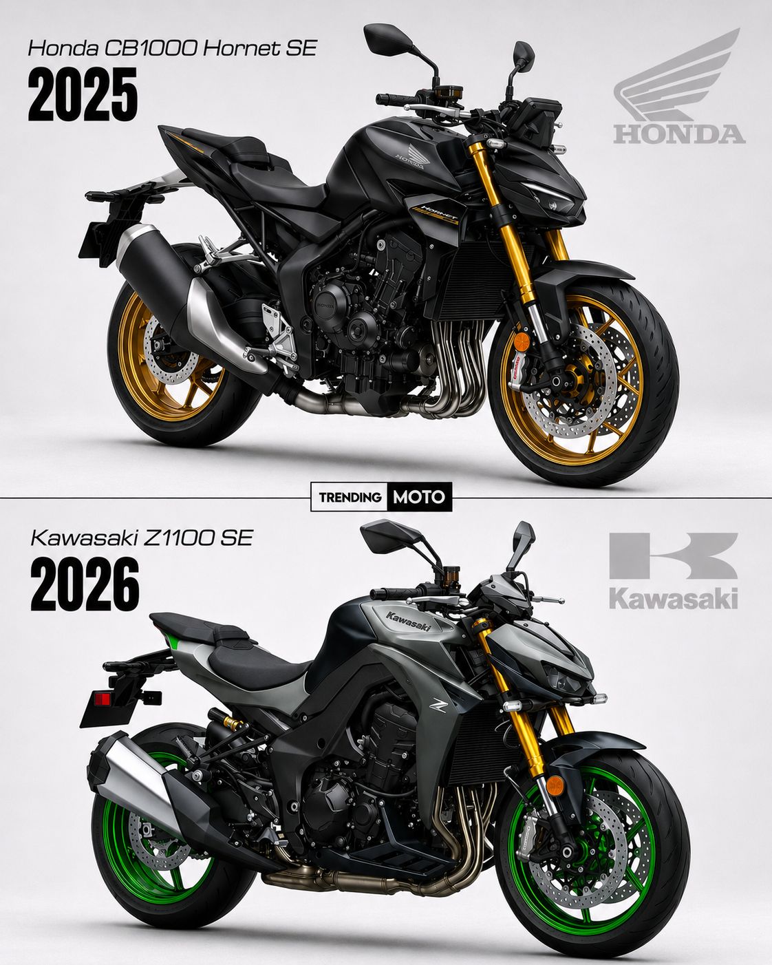 Japanese Streetfighter War 🇯🇵 Honda CB1000 Hornet SE vs Kawasaki