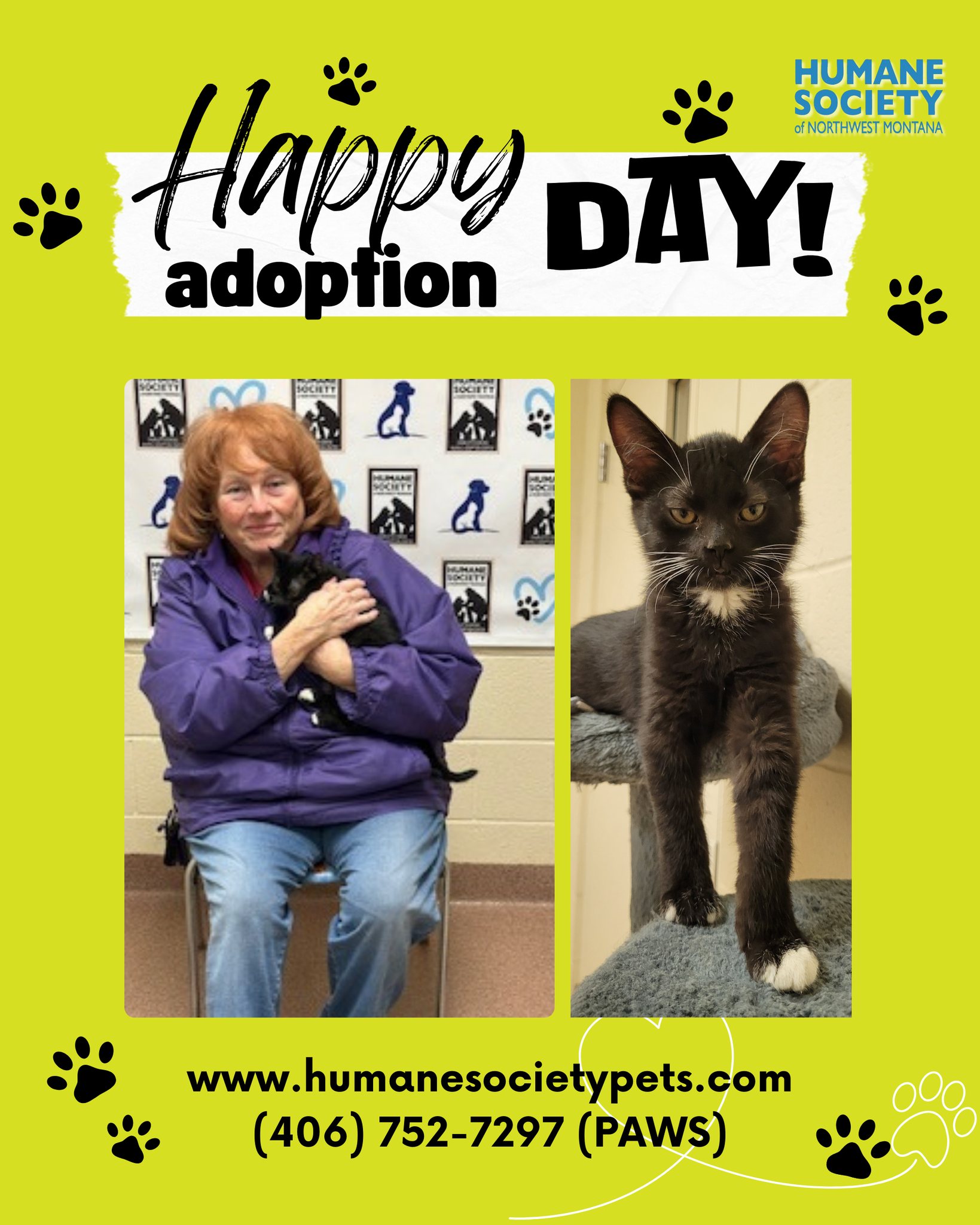 Humane Society of Northwest Montana | Kalispell MT