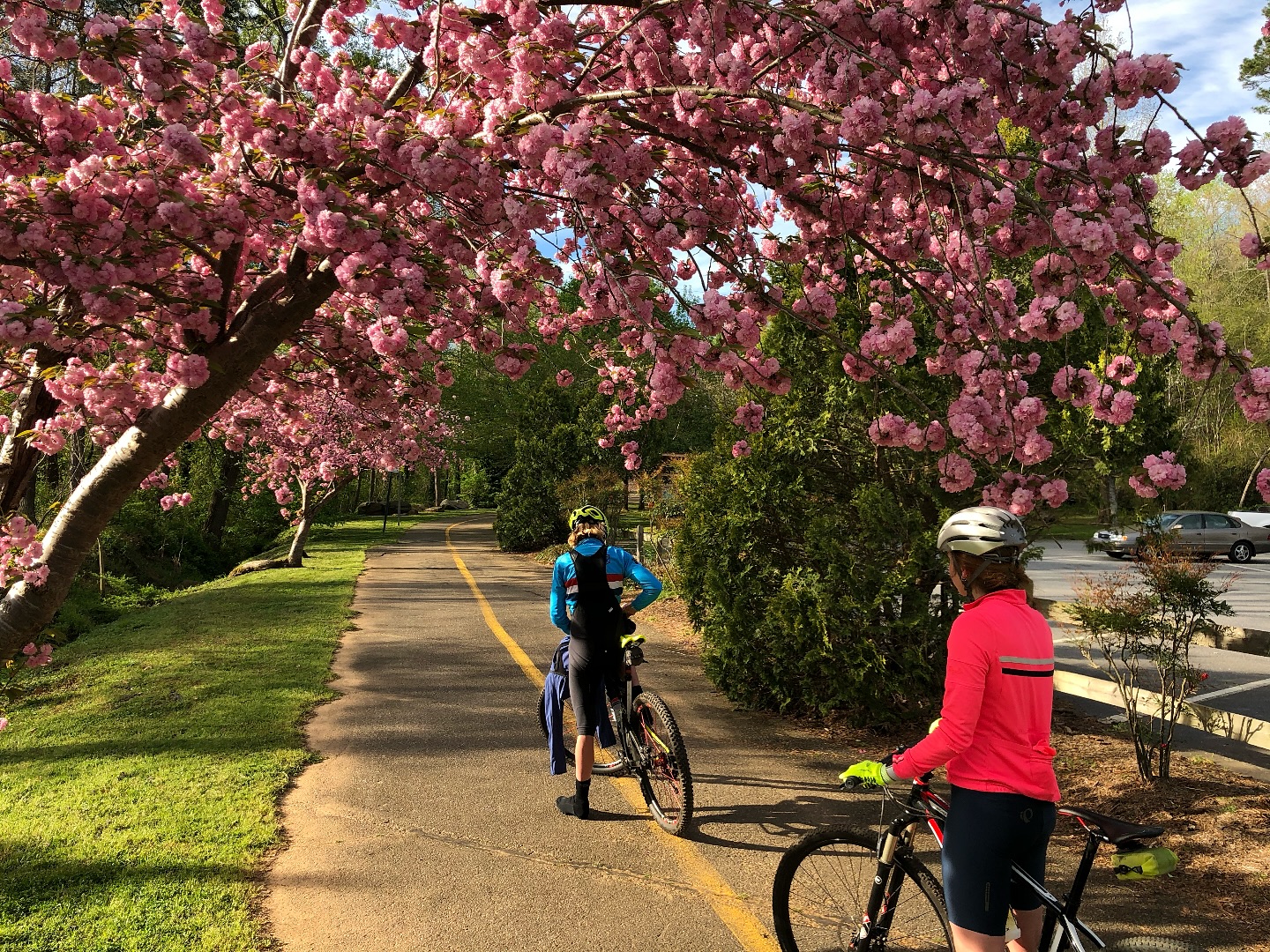 DeFeet - Who’s ready for spring bike rides? ☀️🚴‍♂️ It’s not just about ...