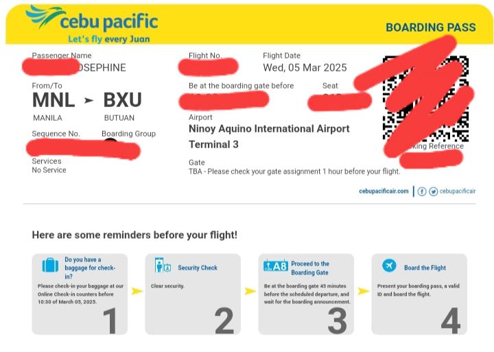 LJ - DIGITAL BOARDING PASS for another CEBU PACIFIC passenger/s ...