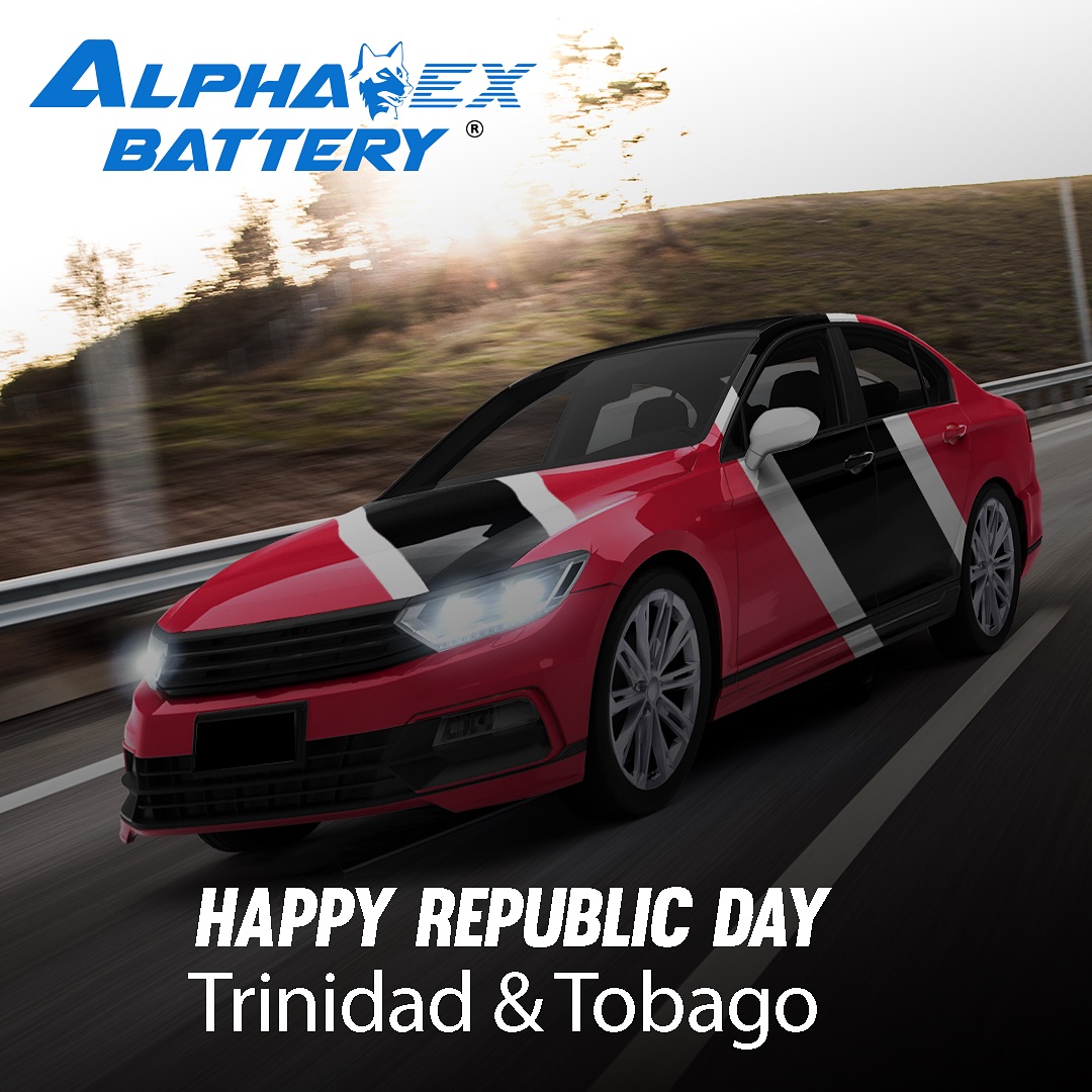 Alpha EX Battery