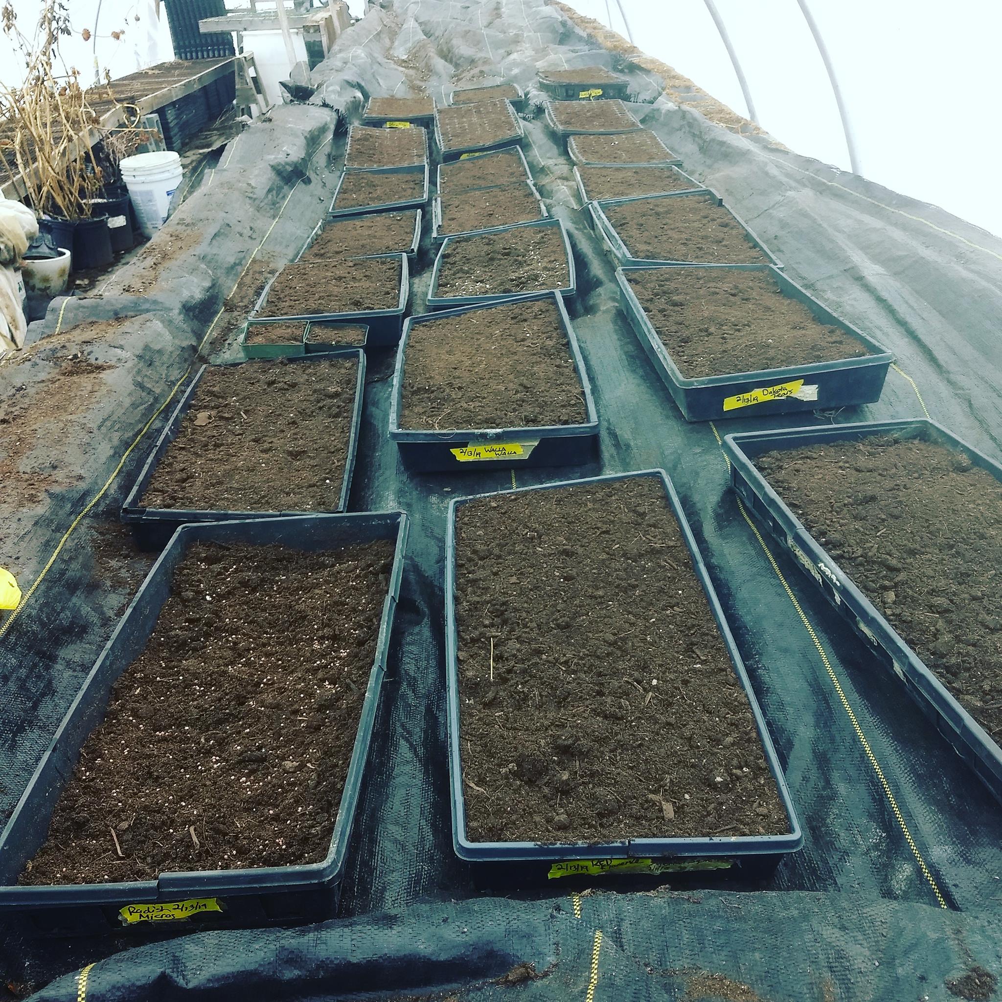 Here are some views of our week! The... - Crooked Row Farm