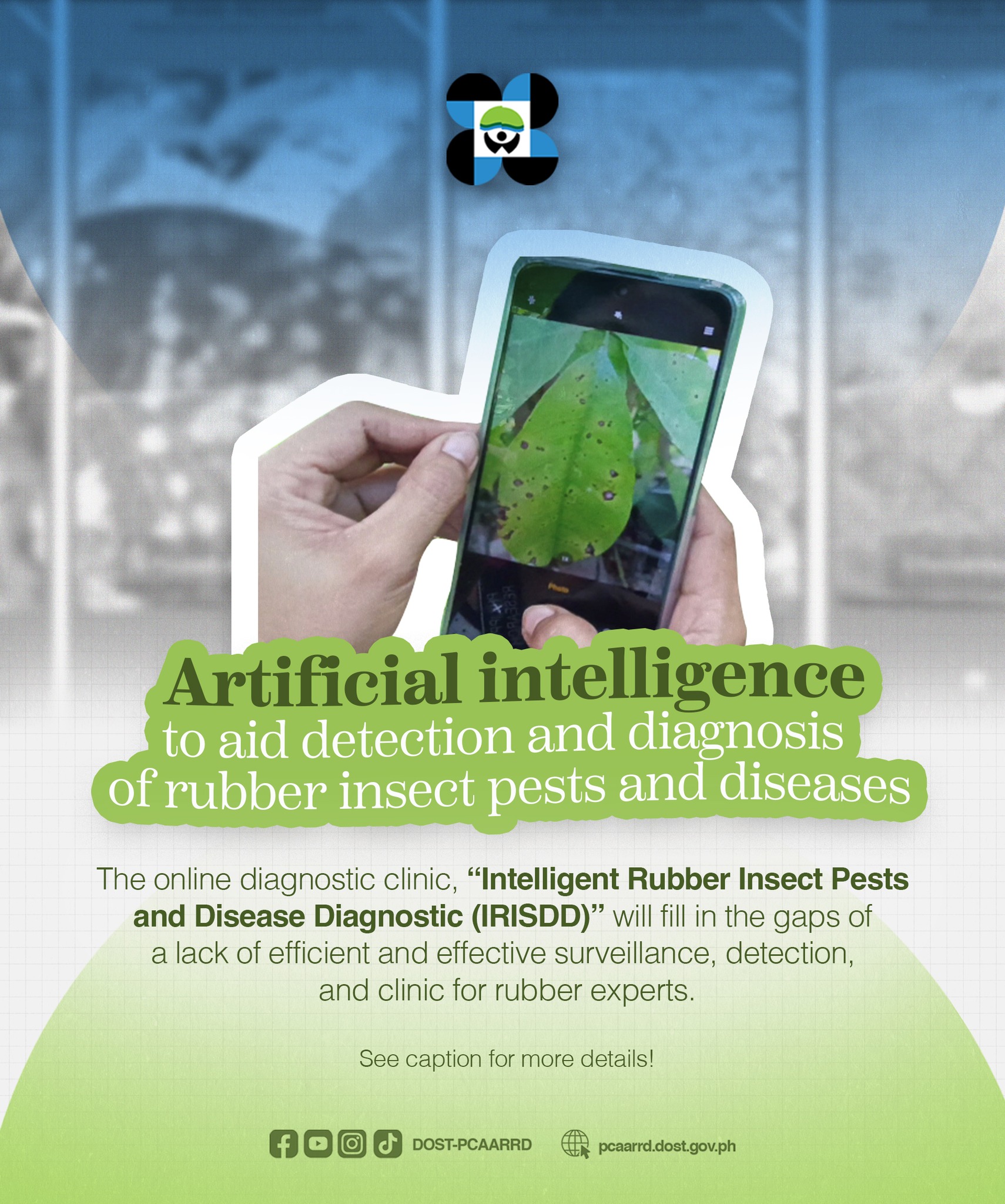 DOST - Insect pests and diseases are one of the many factors ...