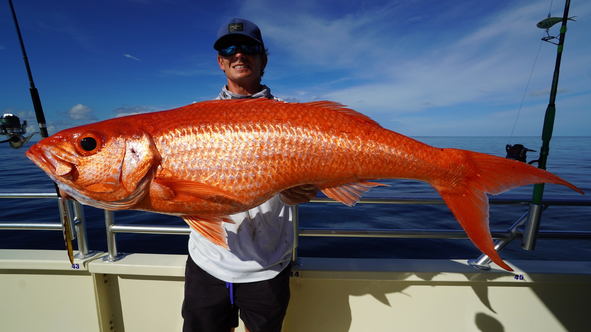 Landshark - Giant Queen snapper! They taste mazing and are one of the ...