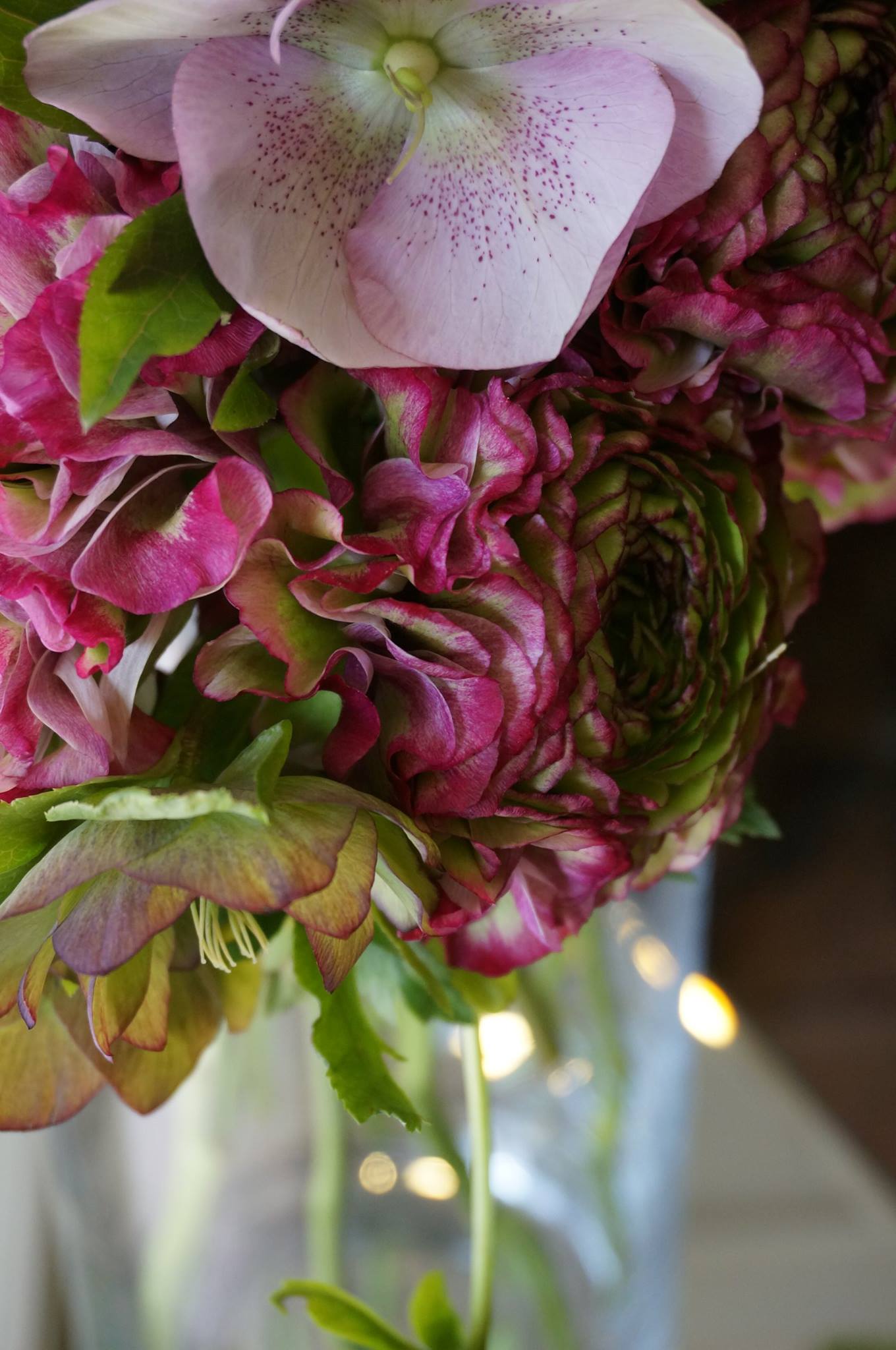 Premium Ranunculus 