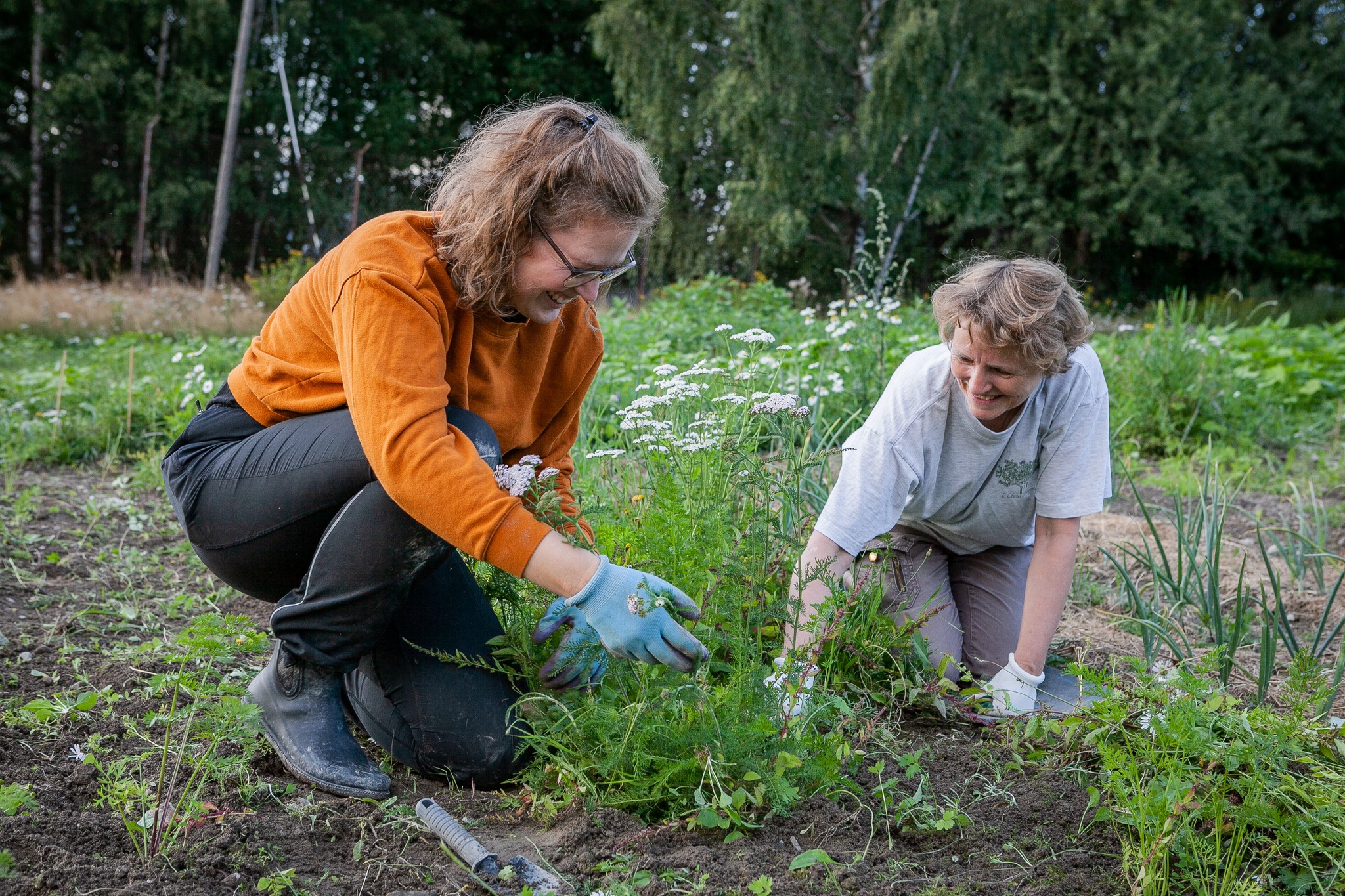Spør og grav - åpne arbeidsdager på Losæter