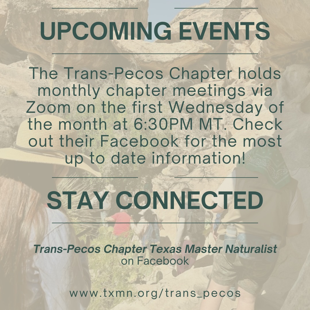 Trans-Pecos Chapter Texas Master Naturalist | El Paso TX