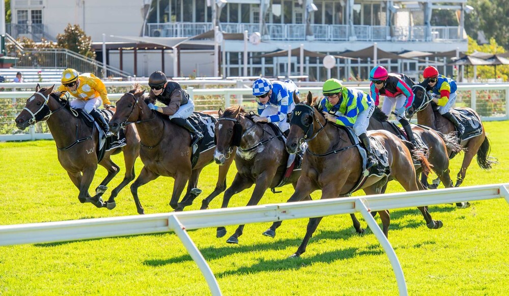 Perth Racing - Perth Racing added a new photo — at Ascot...