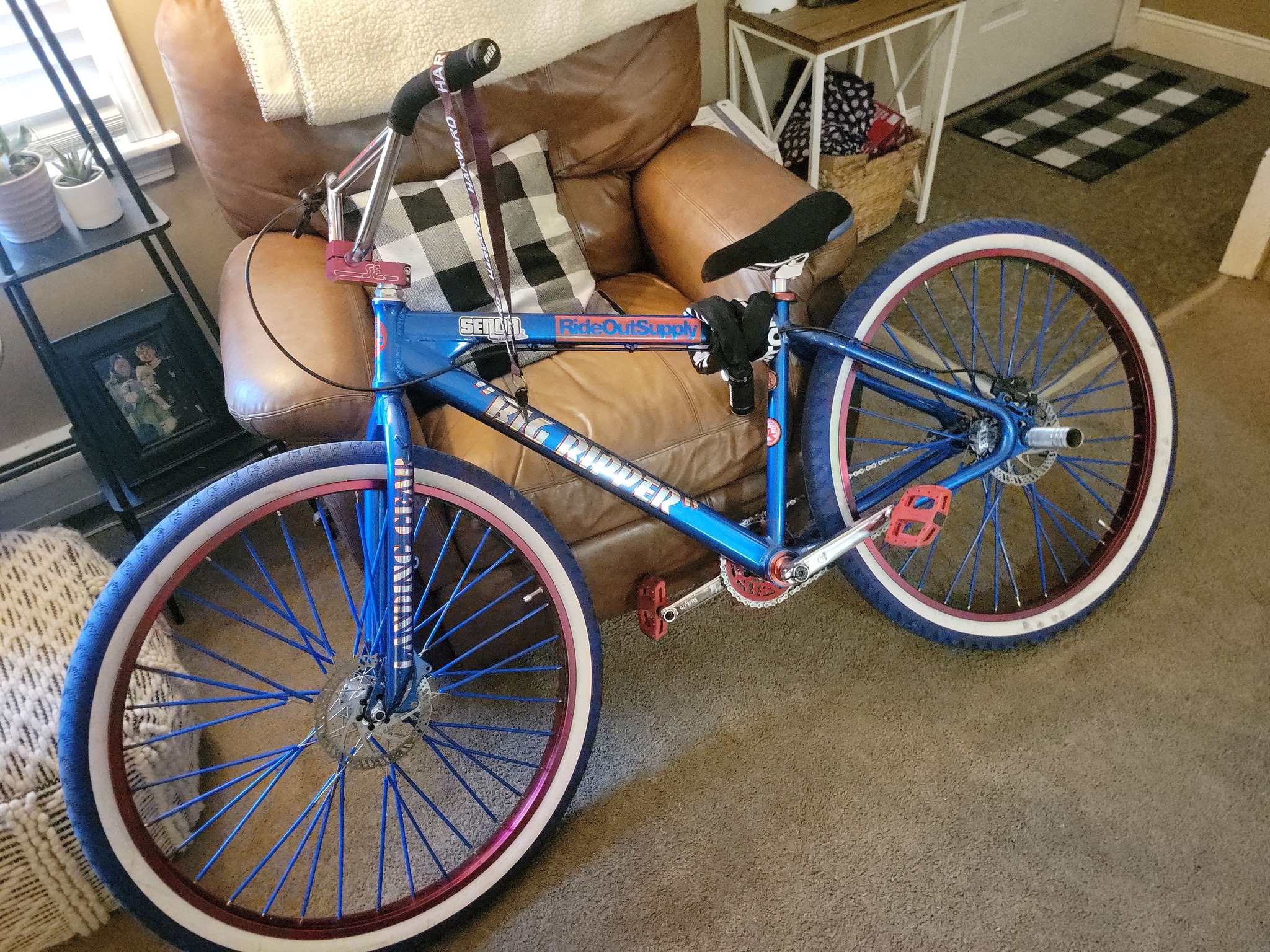 Custom 2019 SE DBlocks Big Ripper with disc brakes