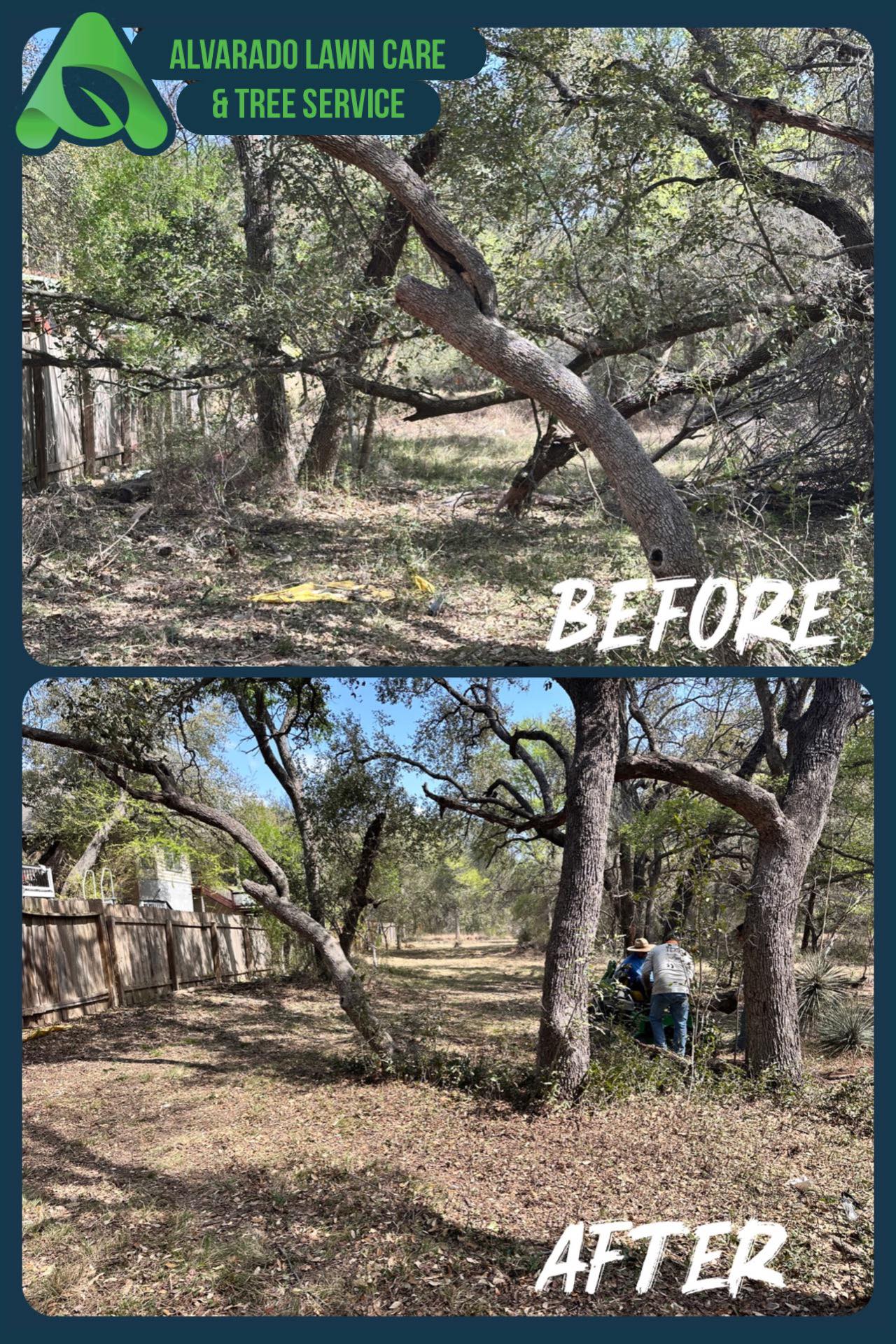 Alvarado Lawn Care & Tree Service | San Antonio TX