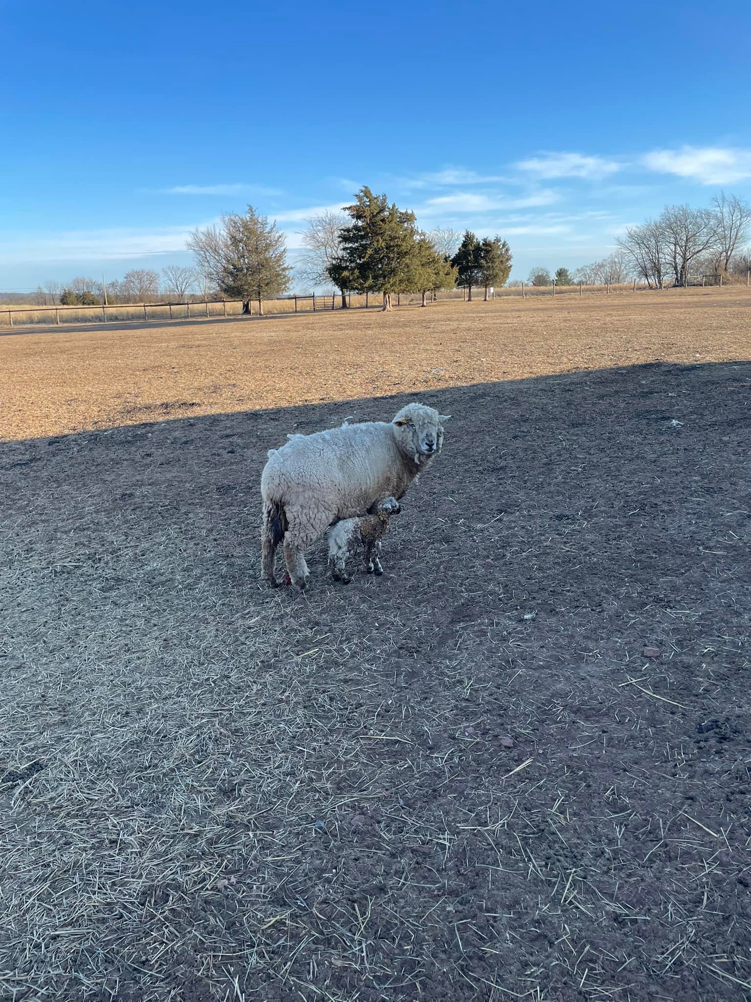 November Farms | East Greenville PA