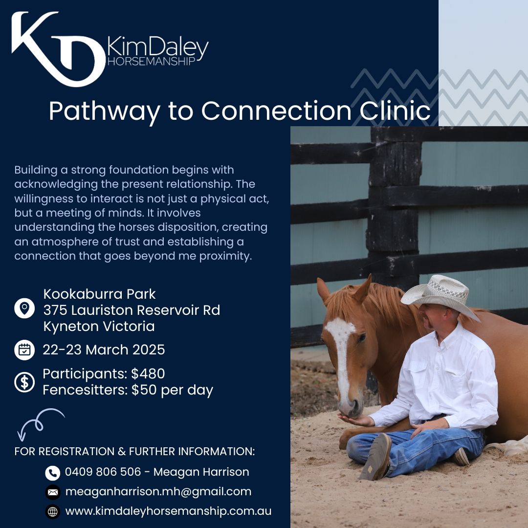 Harrison Holistic Horsemanship