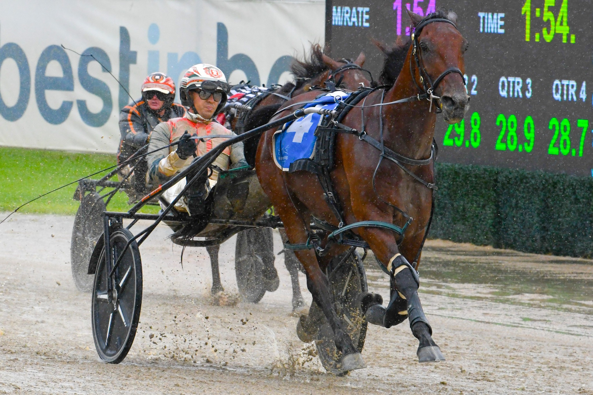 Club Menangle - Whyiman races to a 9.6 metre win for Peter... | Facebook