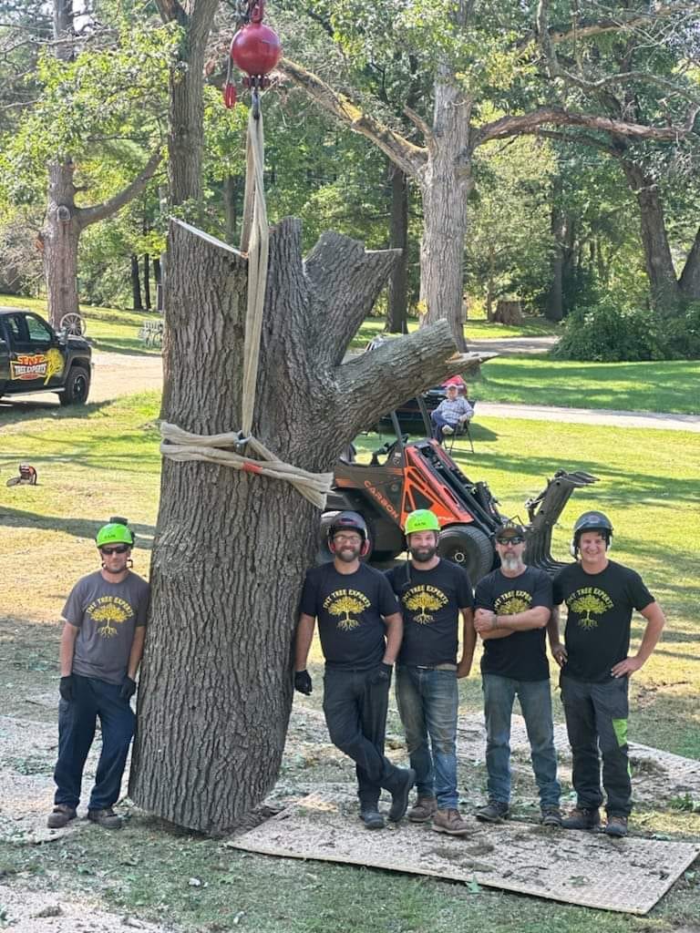 Today's Monster Oak Removal!! Tom &... - TNT Tree Experts | Facebook