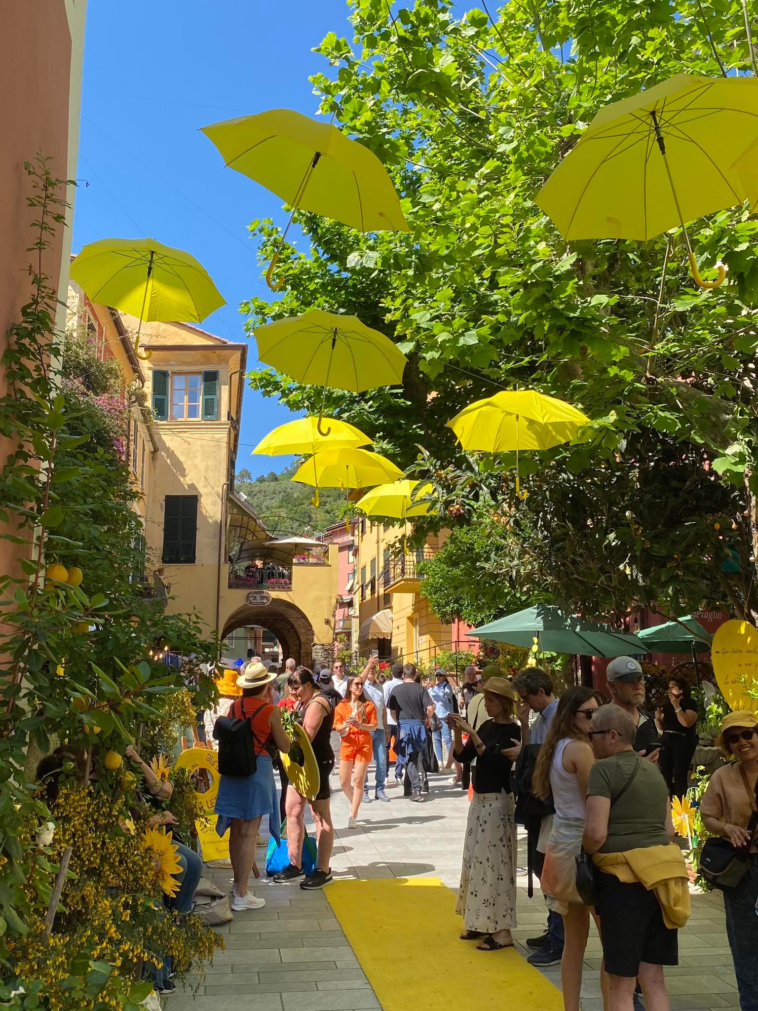 🍋Do not miss the Lemon Festival -... - Cinque Terre Italy