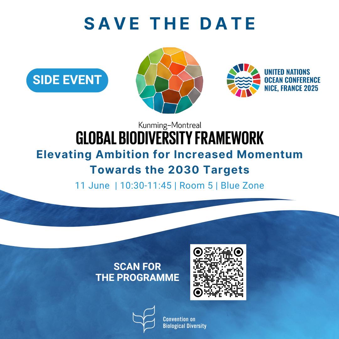 United Nations Biodiversity | Montreal QC