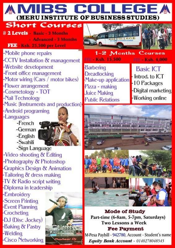 Meru Institute of Business Studies | Meru