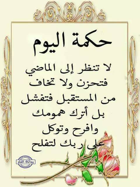 قل خير او اصمت لان في الصمت حكمة