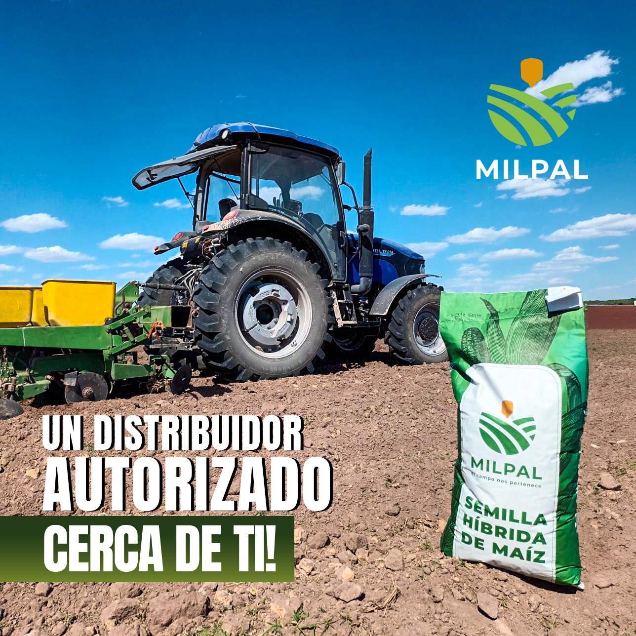 Semillas - La pasión y dedicación de los productores mexicanos dan vida ...