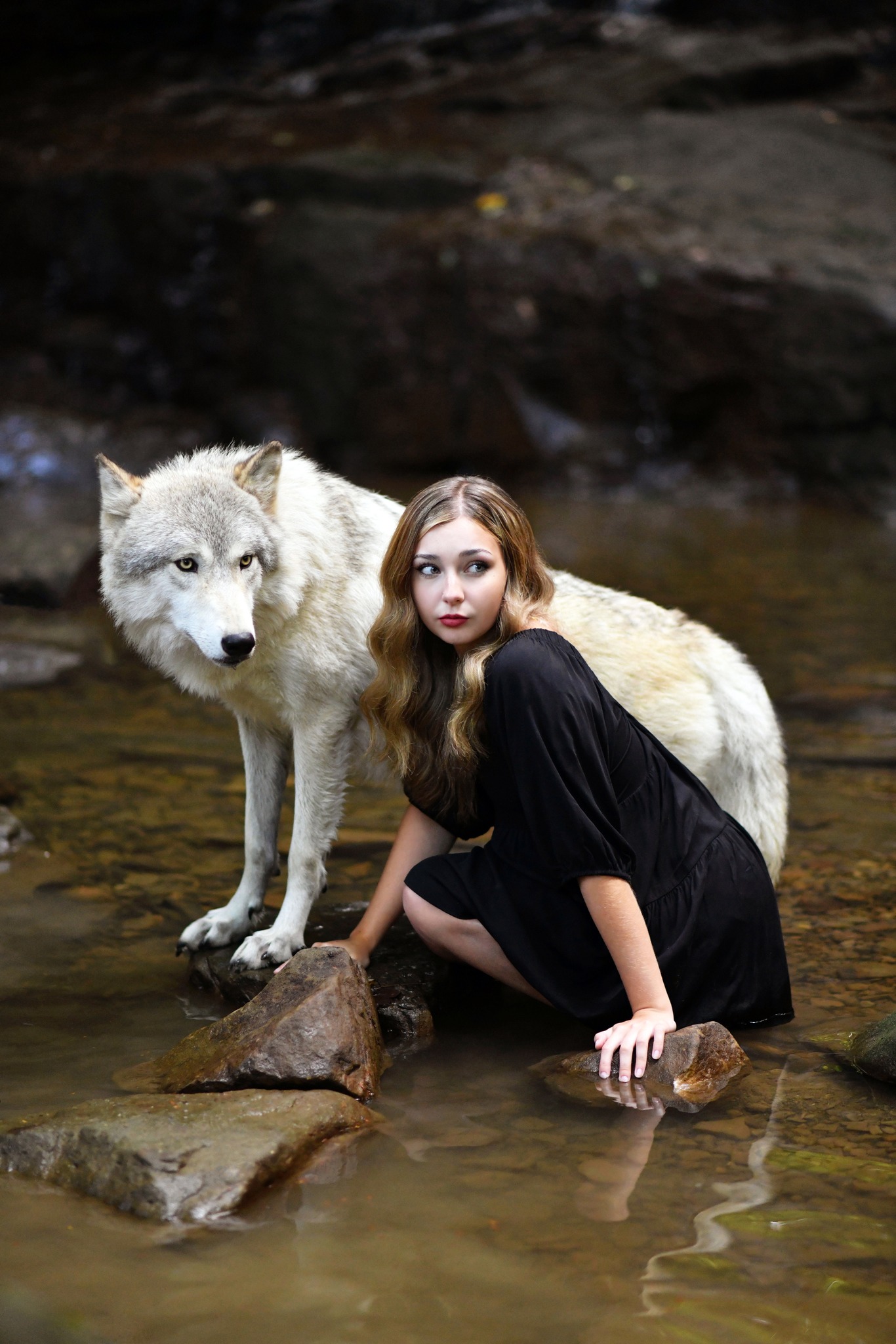 Jennifer - Who is looking forward to the wolf photo shoot weekend on ...