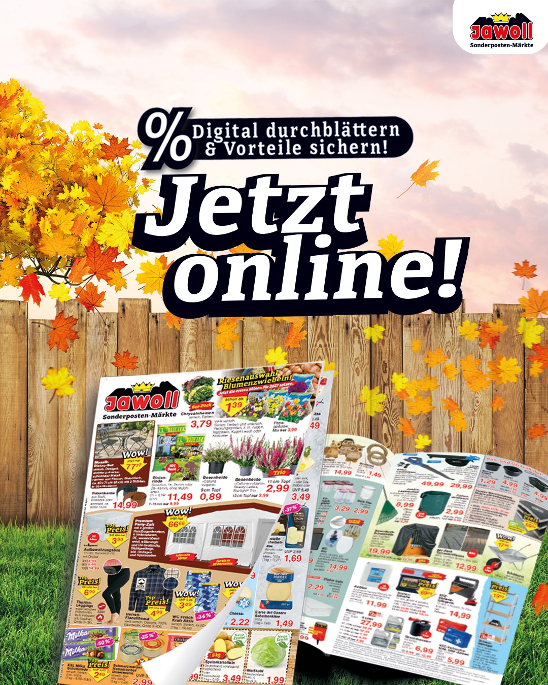 🧡 Neue Woche, neue Angebote! 🍂 Im aktuellen Jawoll-Prospekt ist wieder ordentlich Abwechslung angesagt: Nützliches für den Alltag, Schönes für zuhause und den Garten, Dinge für gemütliche Tage und na
