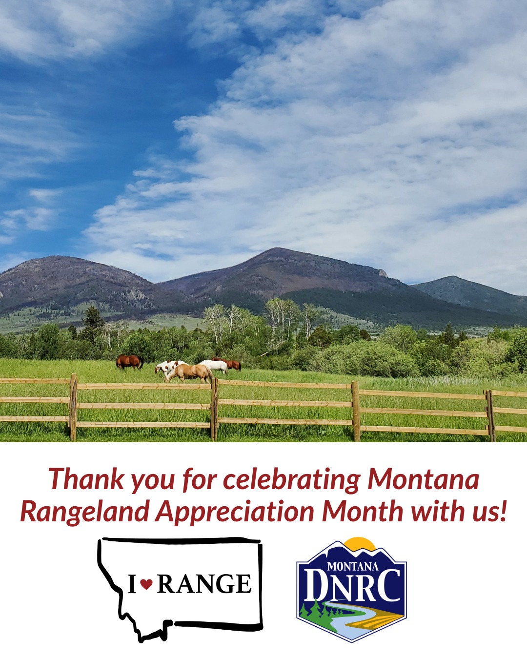 Montana DNRC | Helena MT