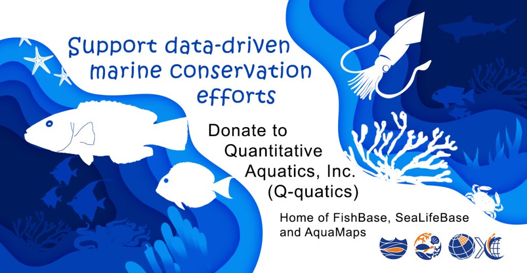 The FishBase - 🌊 Support FishBase and SeaLifeBase — Sustain the Future ...