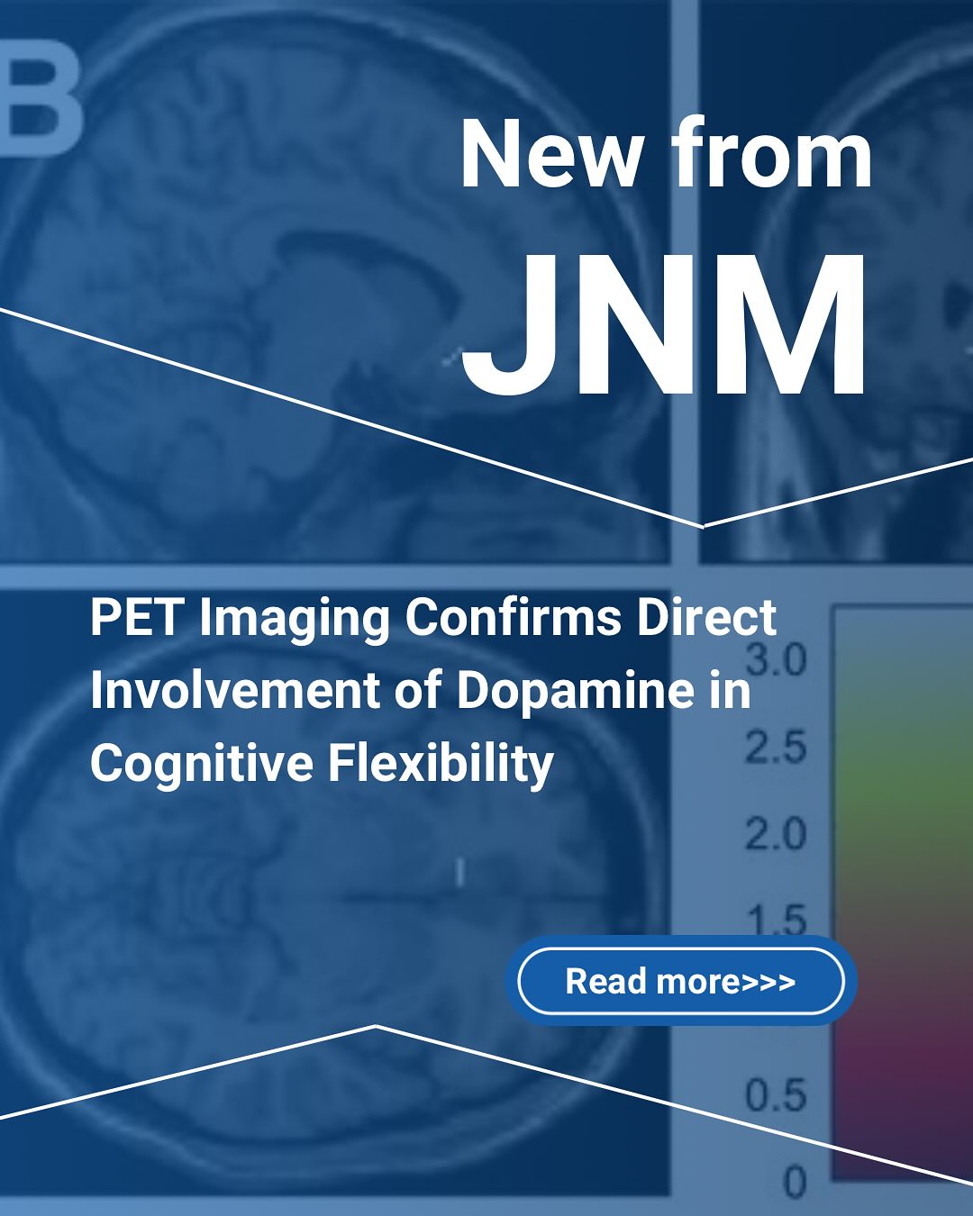 Executi... - Society of Nuclear Medicine and Molecular Imaging | Facebook