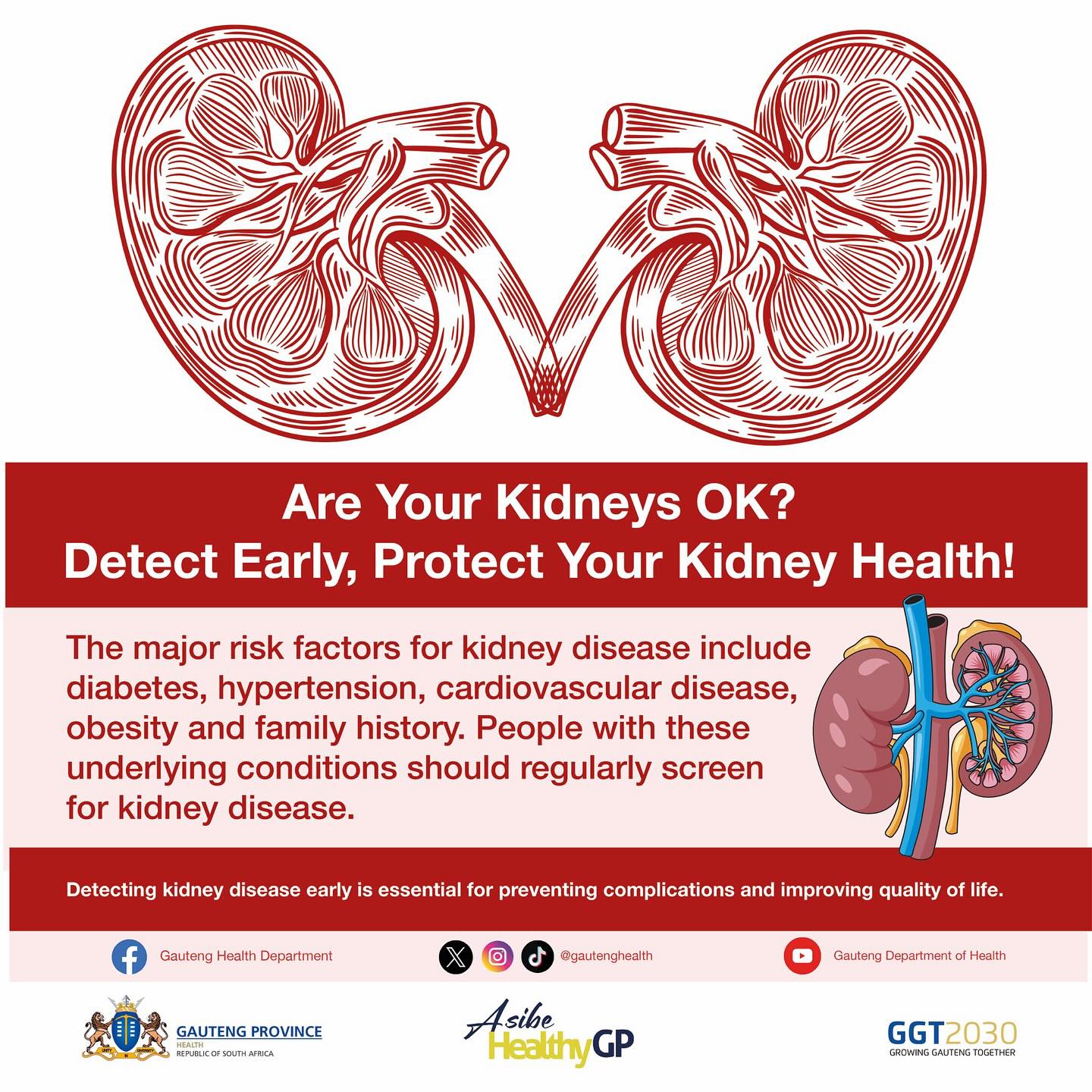 Gauteng - The major risk factors for kidney disease include diabetes ...