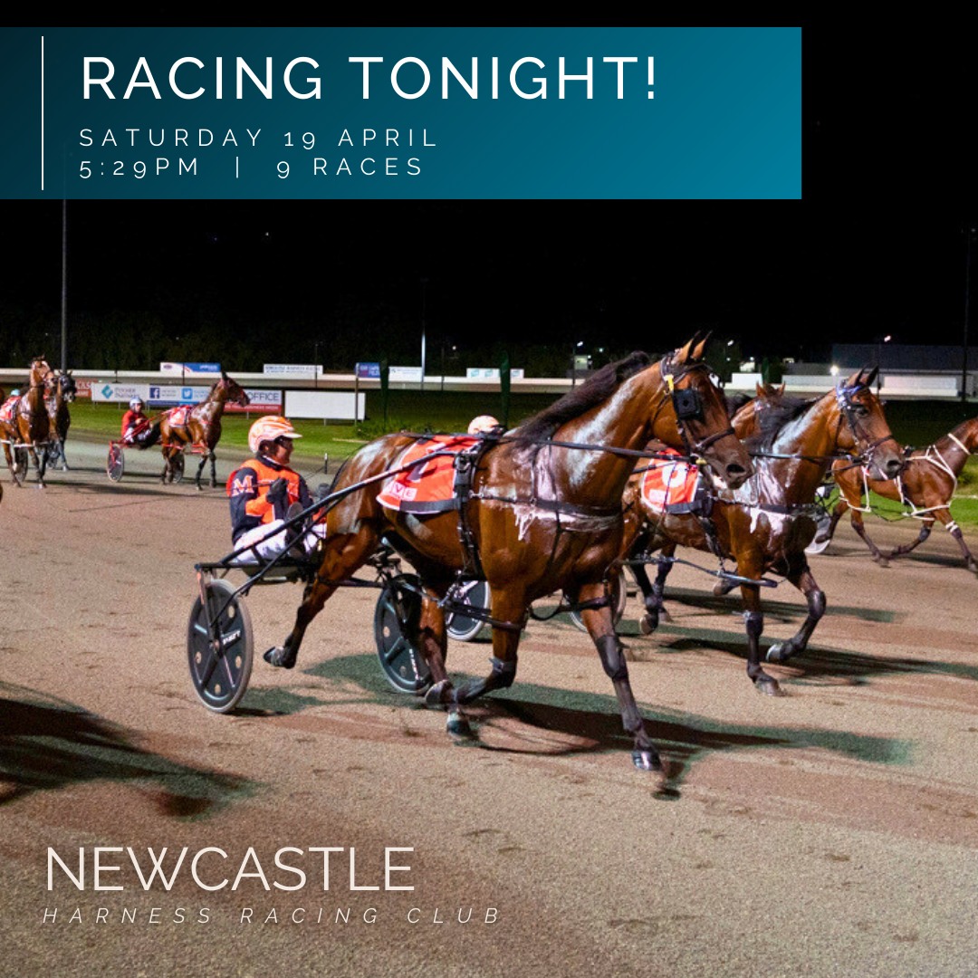 Newcastle - SATURDAY RACING! Race 1 @ 5:29pm with 9 Races! 👉Gates open ...