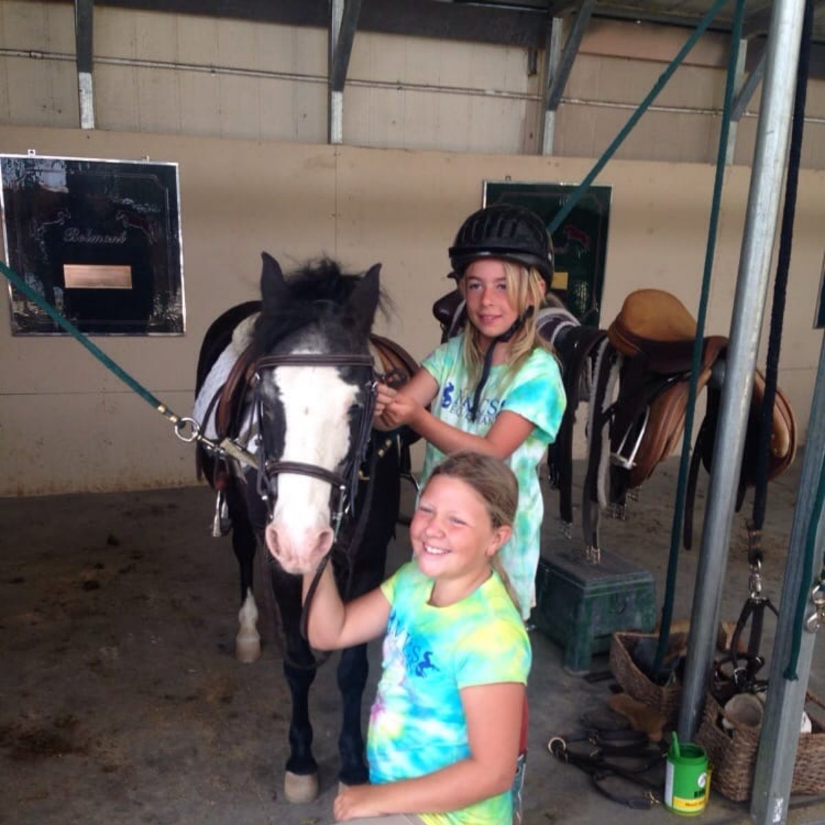 Belmont Training Stable | Watsonville CA