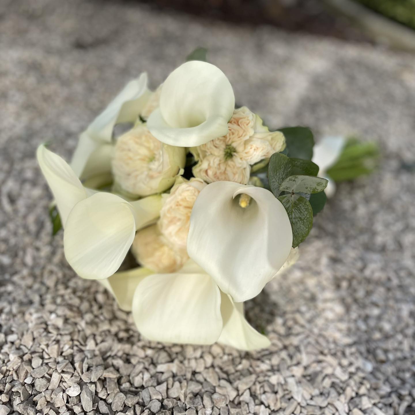 Brautstrauß schlicht und elegant 🤍💍 #blumenstrauß #flowershop #flowers # brautstrauß #münchen #hochzeit #floristik #weddingflowers #florist