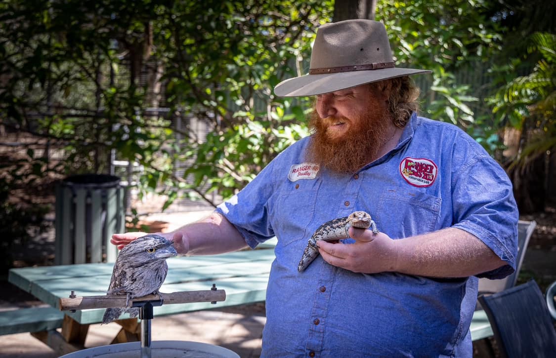 Ranger Redz Zoo | Pinjarra WA