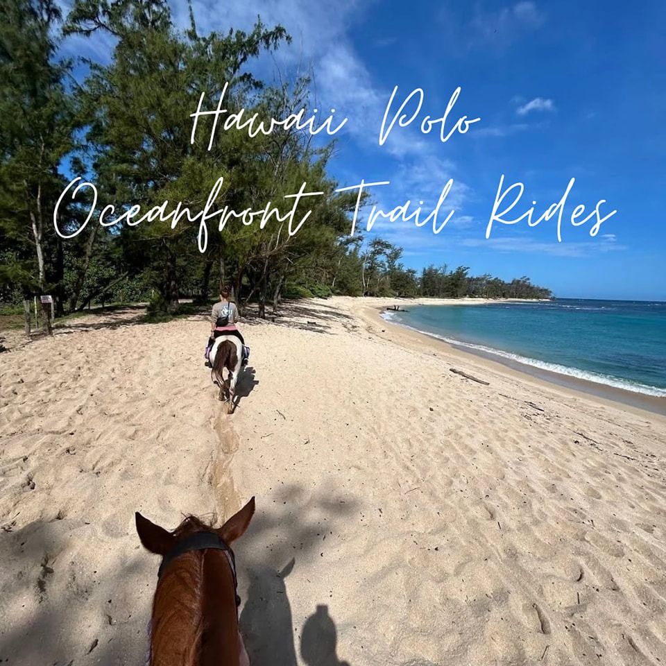 It’s the simple things. A good horse. Salt air. Sunshine. Ocean views ...