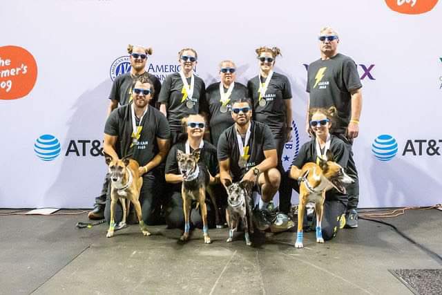Dynamo Darts Flyball Team... - Dynamo Darts Flyball Team