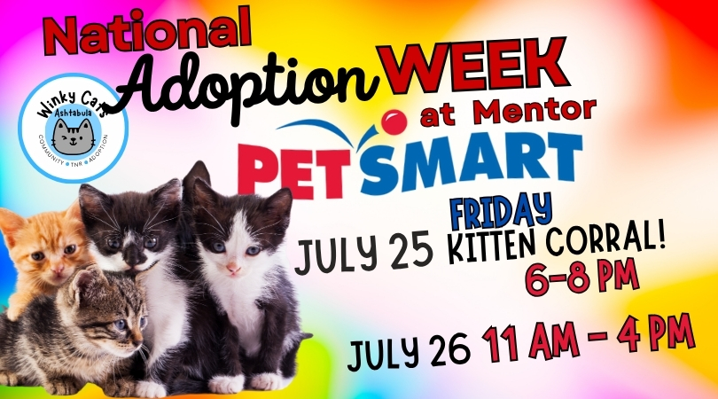 Winky Cats NATIONAL ADOPTION WEEK Event at Mentor Petsmart July