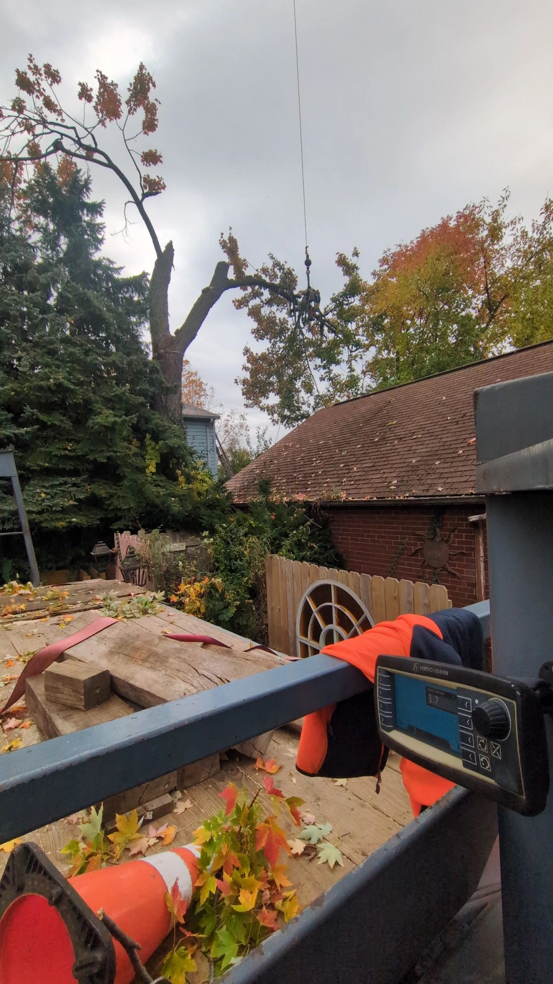 Al's Tree Service Llc. | Lake County OH