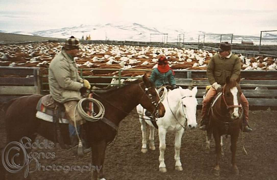 Cowboy in a Corporate World: by Ray Marxer - This picture shows Marion ...