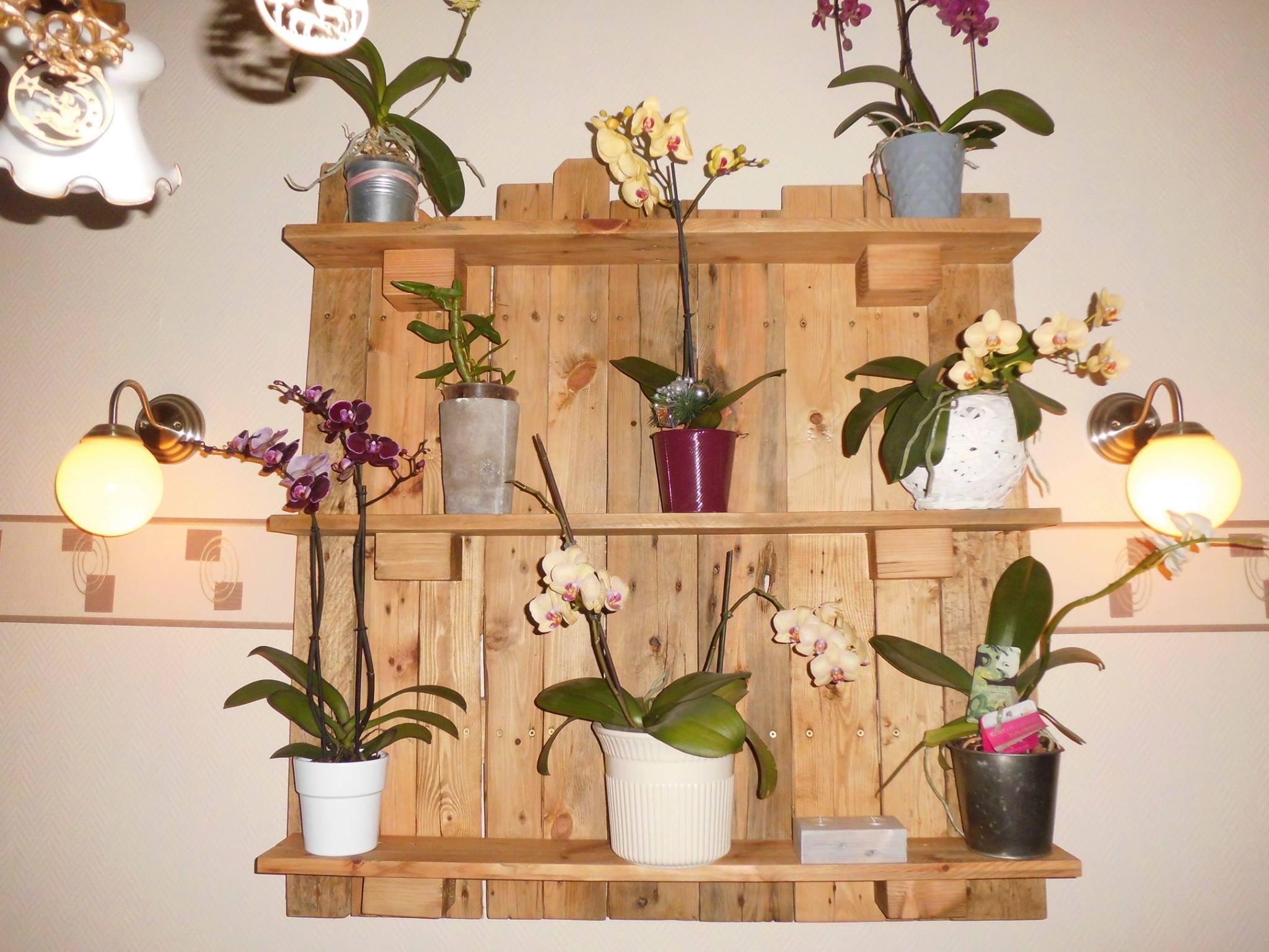Fabriquer Une Etagere Pour Orchidée