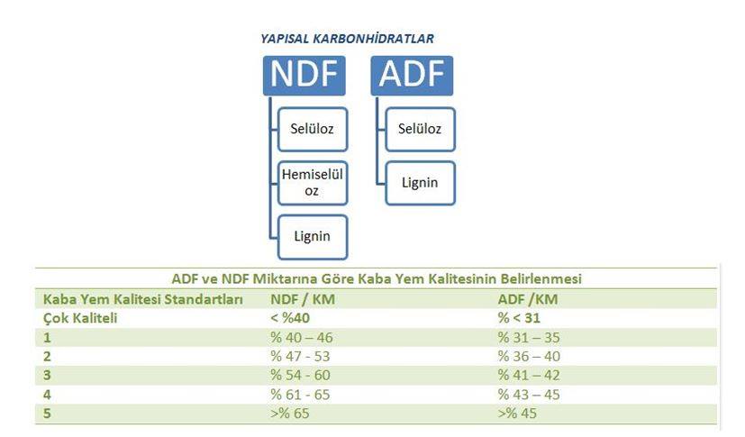ADF VE NDF MİKTARINA GÖRE KABA YEM... - Ruminant Akademi