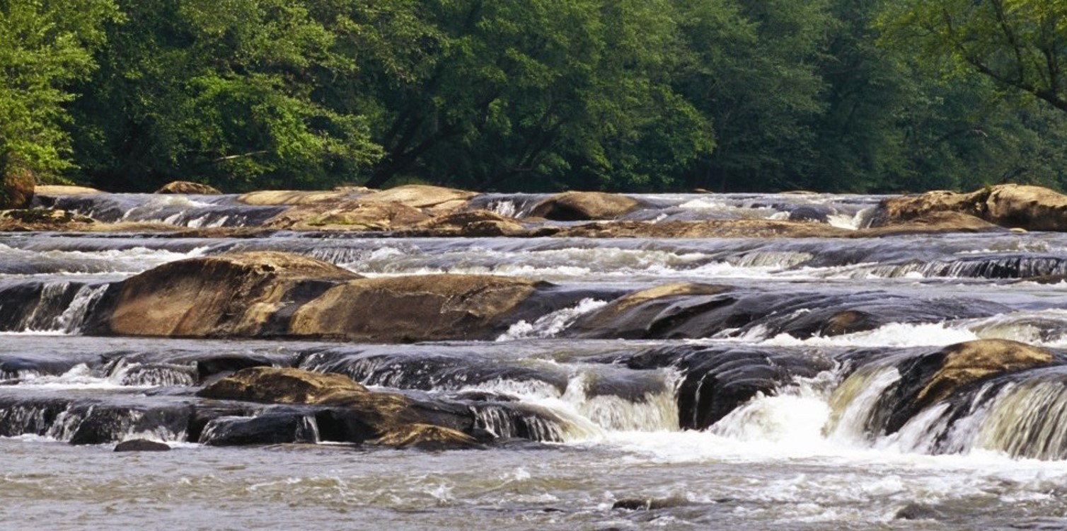 Friends of Mayo River State Park | Mayodan NC
