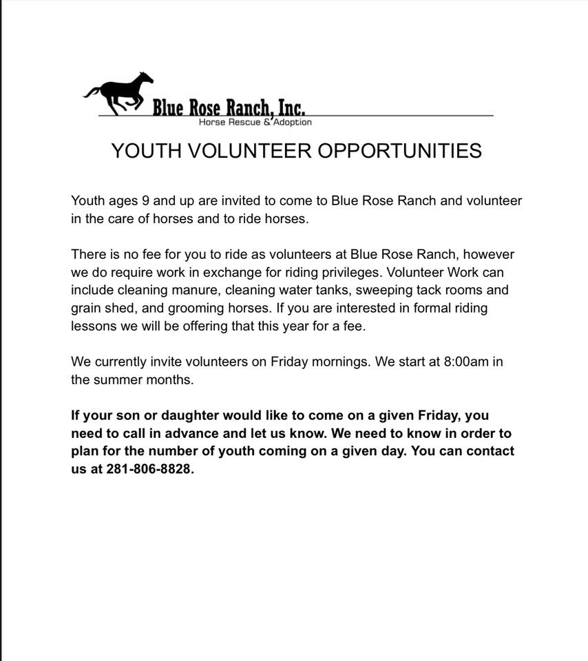 Blue Rose Ranch Horse Rescue & Adoption