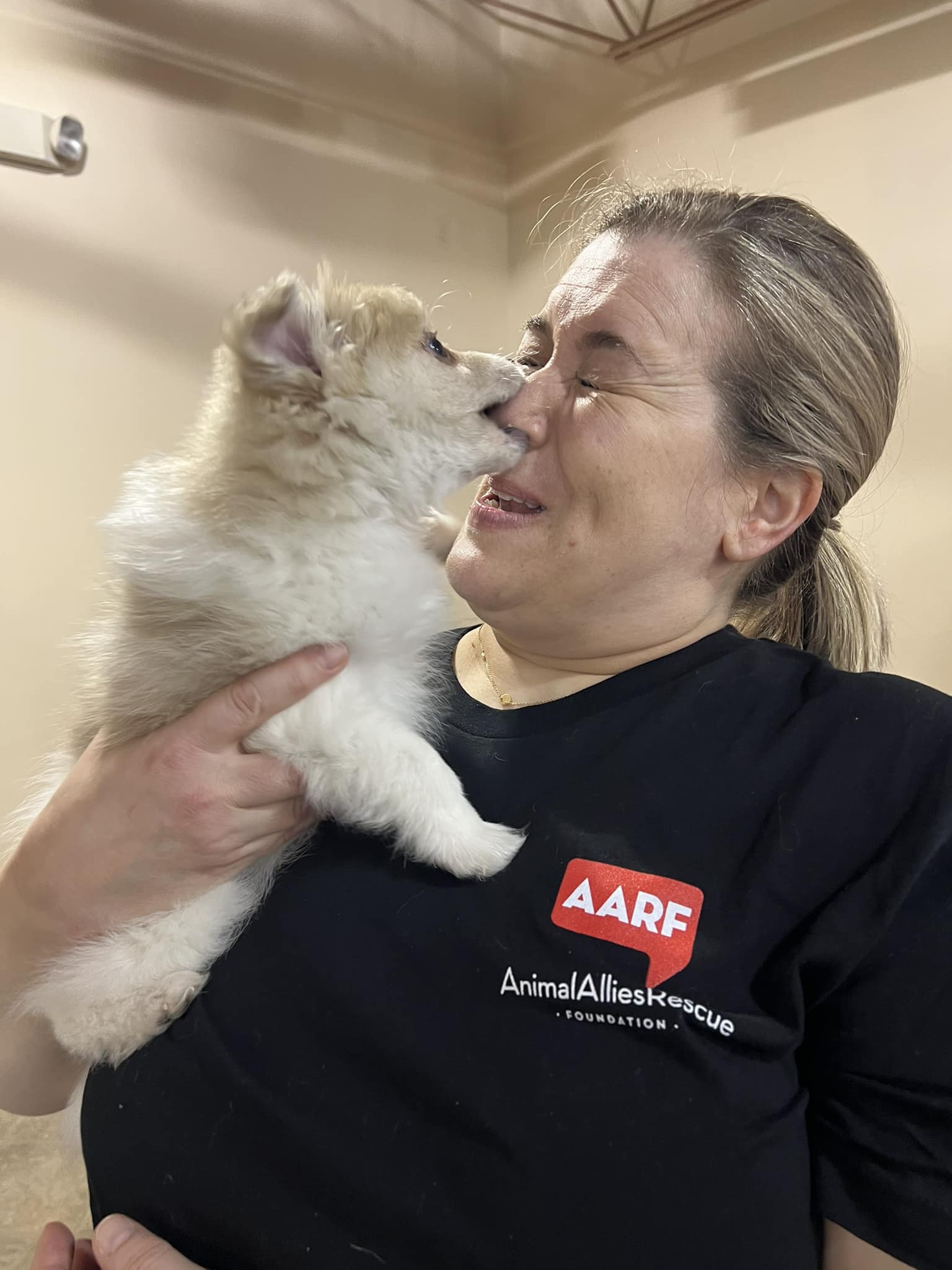Animal Allies Rescue Foundation (AARF) | Baltimore MD