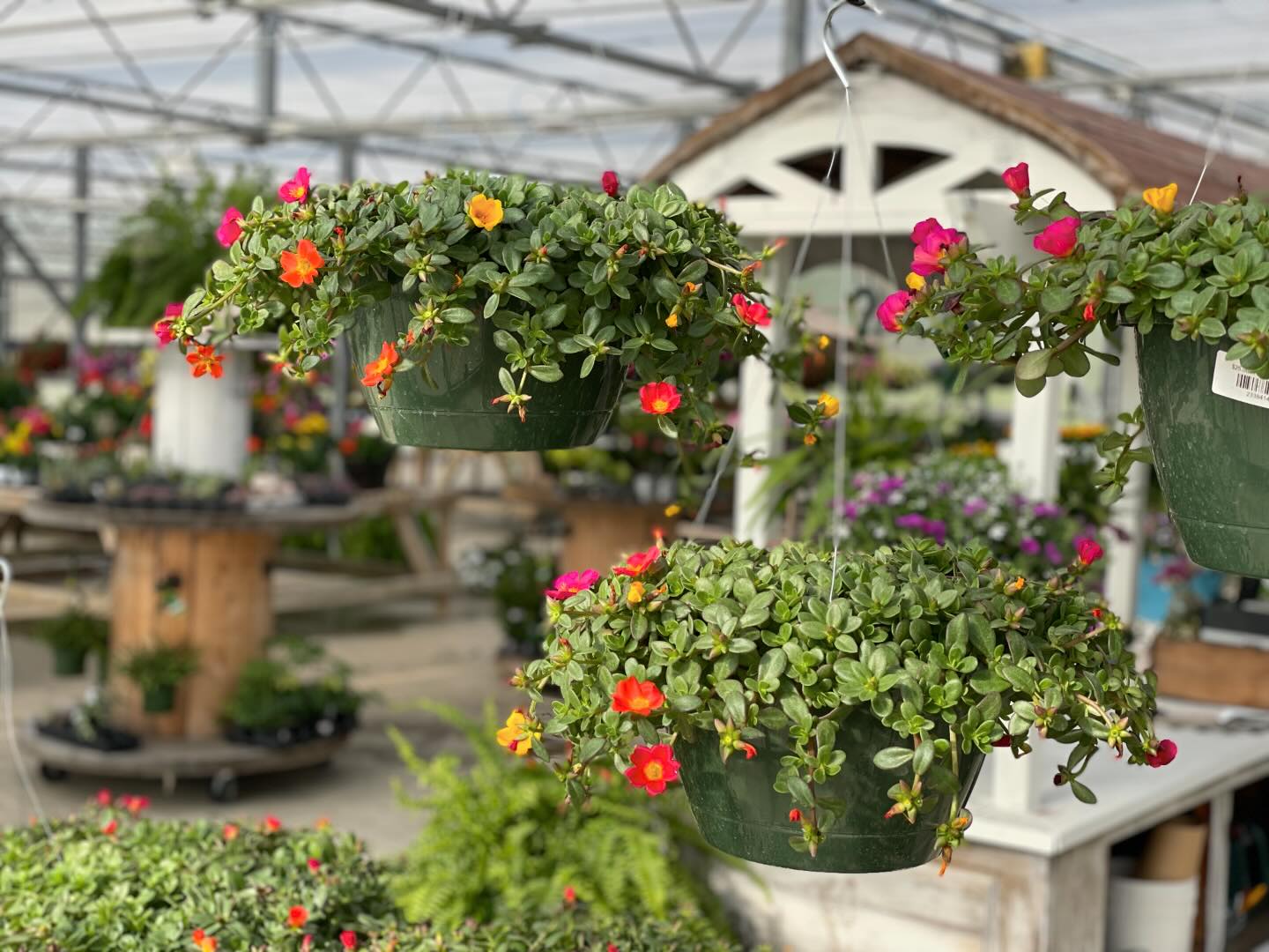 Redefined Roots Garden & Greenhouse
