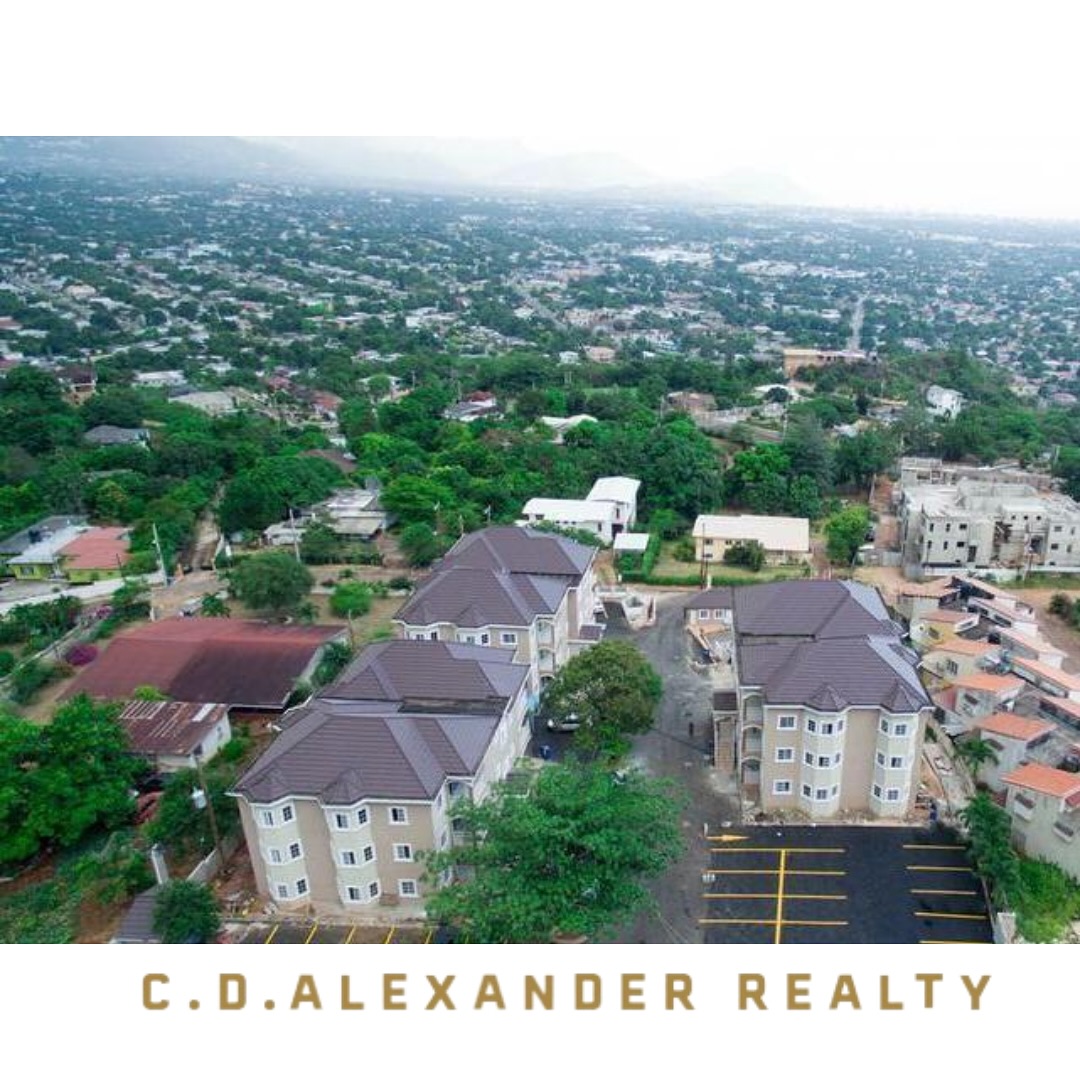 The CD Alexander Company Realty Ltd | Kingston