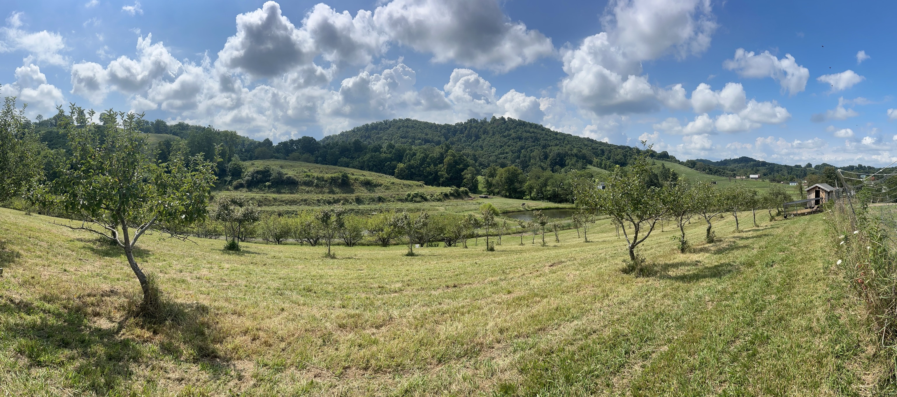 Blue Sky Farm and Orchard | Bluefield WV