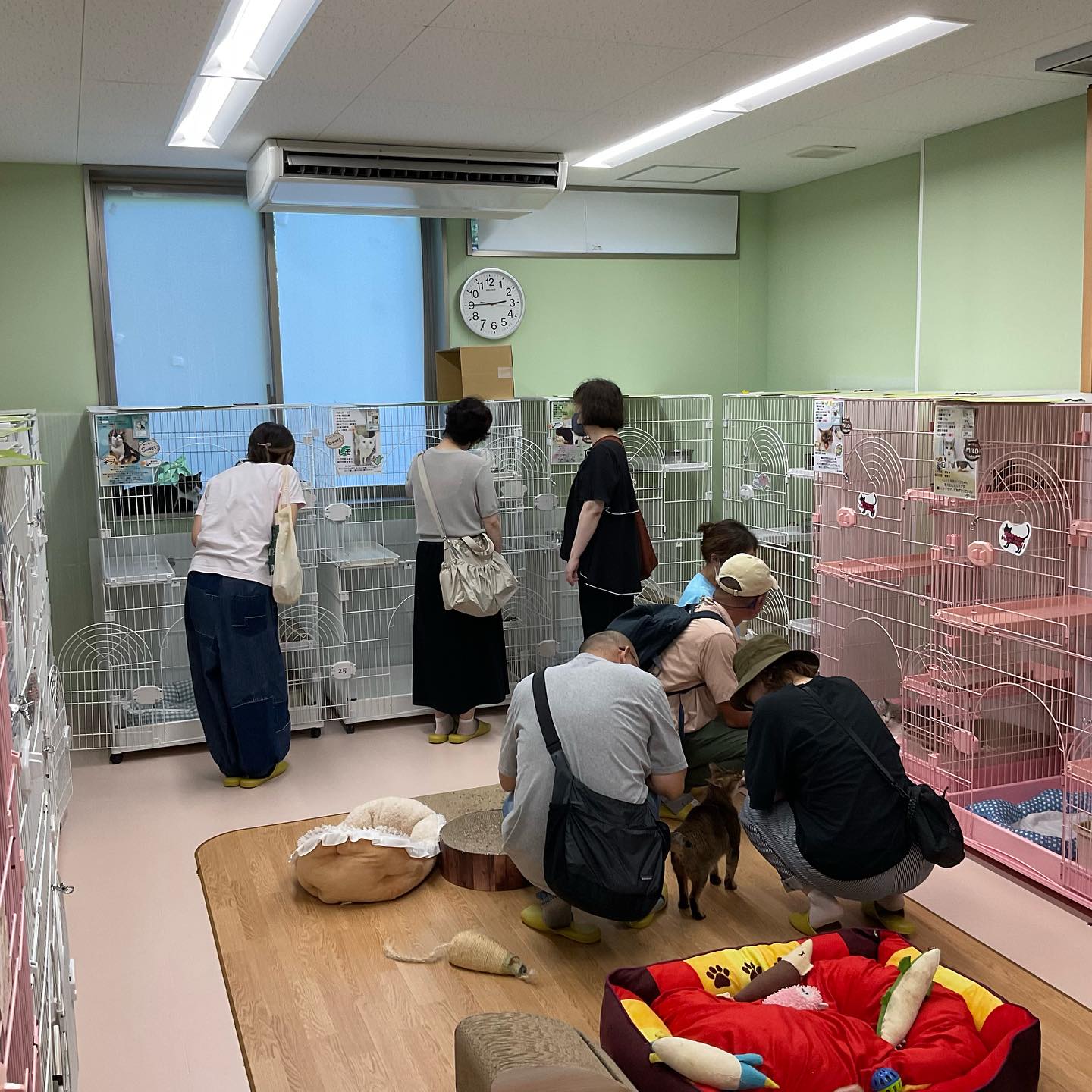 名古屋 市 動物 愛護 センター