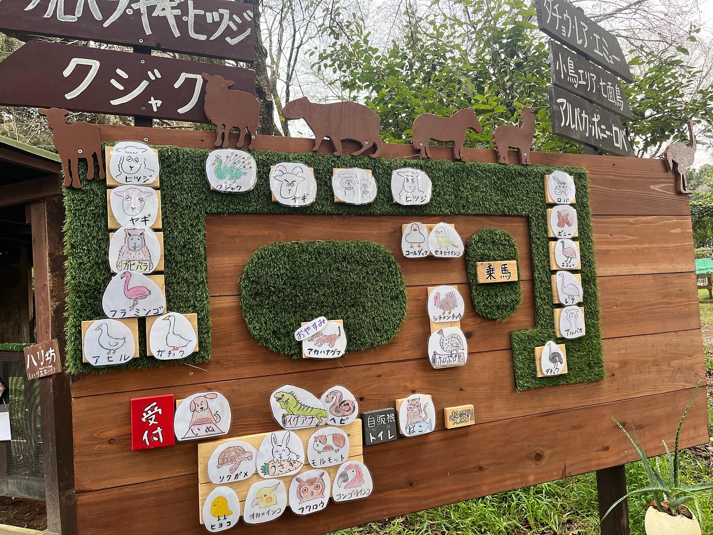 ダチョウ 王国 石岡 ファーム