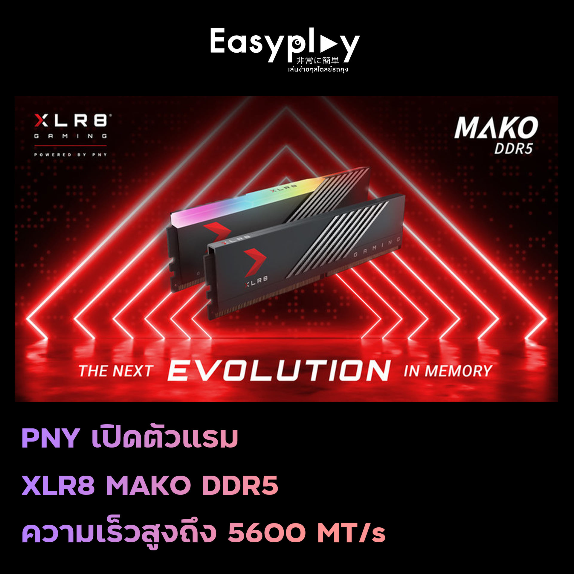 EasyPlay - PNY เปิดตัวแรม XLR8 MAKO DDR5 ความเร็วสูงถึง 5600 MT/s . PNY ...