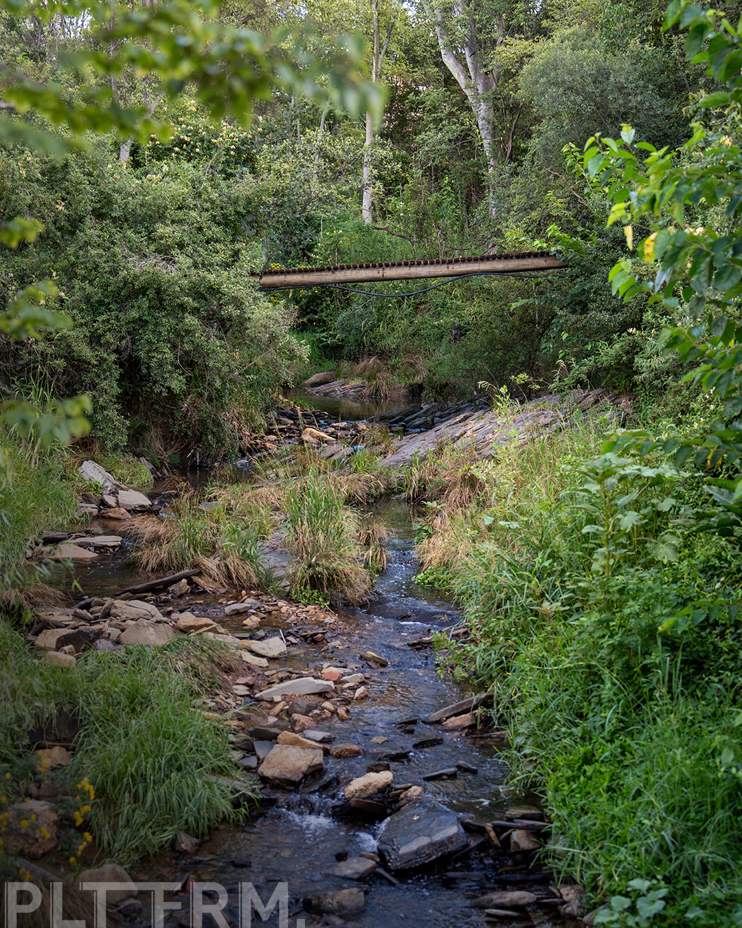 pltfrm-explore-wolwespruit-did-you-know-pltfrm-is-located